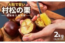【先行予約】越後村松の栗（2Lサイズ 2kg） 新潟県 五泉市 村松特産振興協議会栗部会 2025年10月発送中旬から順次発送