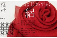  【絽紗】はじめての絽 シルク100%やわらか色無地ストール （ダークグリーン） 新潟県 五泉市 株式会社 横正機業場