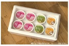  ごせん桜アロマ工房の手作りジェラート （130ml×8個） 食べ比べセット 詰め合わせセット 新潟県 五泉市 一般社団法人 五泉市観光協会