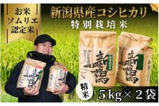 《先行予約》令和7年産新米【お米ソムリエのお米】特別栽培米コシヒカリ 精米 10kg（5kg×2袋）五泉市四ヶ村産 米 お米 新潟県 五泉市 エバーグリーン農場