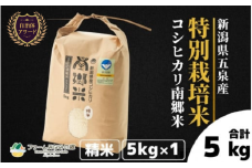 【先行予約】令和7年産新米 特別栽培米 新潟県五泉産コシヒカリ 「南郷米」精米 5kg 新潟県 五泉市 ファームみなみの郷 [9月中旬以降順次発送]