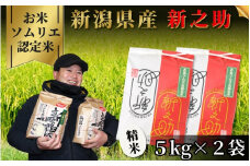 《先行予約》令和7年産新米【お米ソムリエのお米】新之助 精米 10kg（5kg×2袋）五泉市四ヶ村産 米 お米 新潟県 五泉市 エバーグリーン農場