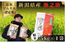  《先行予約》令和7年産新米【お米ソムリエのお米】新之助 精米 5kg（5kg×1袋）新潟県 五泉市 エバーグリーン農場