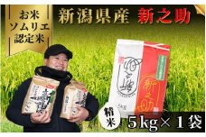 令和7年産 新米 【 先行予約 】 米 5kg 五泉市産 新之助 お米ソムリエのお米 | 白米 精米 しんのすけ お米 おこめ コメ こめ おすすめ 人気 新潟県 五泉市 エバーグリーン農場