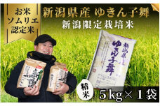 令和7年産新米【お米ソムリエのお米】ゆきん子舞 精米 5kg（5kg×1袋）五泉市四ヶ村産 米 お米 新潟県 五泉市 エバーグリーン農場 [2025年10月上旬以降順次発送]