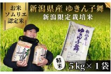 令和7年産 新米 【 先行予約 】 米 5kg 五泉市産 ゆきん子舞 お米ソムリエのお米 | 白米 精米 ゆきんこまい お米 おこめ 新潟県 五泉市 エバーグリーン農場[2025年10月上旬以降順次発送]
