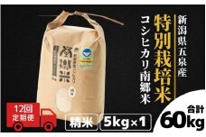 【令和7年産新米】 〈12回定期便〉 特別栽培米コシヒカリ100％ 「南郷米」 精米 5kg（5kg×1袋）新潟県 五泉市 有限会社ファームみなみの郷