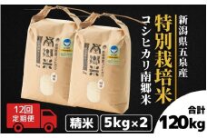 【令和7年産新米】 〈12回定期便〉 特別栽培米コシヒカリ100％ 「南郷米」 精米 10kg（5kg×2袋）新潟県 五泉市 有限会社ファームみなみの郷