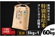 【令和7年産新米】 〈12回定期便〉 特別栽培米コシヒカリ 「南郷米」 玄米5kg（5kg×1袋）新潟県 五泉市 有限会社ファームみなみの郷