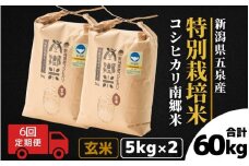 【令和7年産新米】 〈6回定期便〉 特別栽培米コシヒカリ 「南郷米」 玄米10kg（5kg×2袋）新潟県 五泉市 有限会社ファームみなみの郷