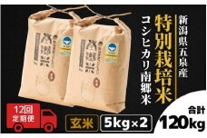 【令和7年産新米】 〈12回定期便〉 特別栽培米コシヒカリ 「南郷米」 玄米10kg（5kg×2袋）新潟県 五泉市 有限会社ファームみなみの郷