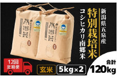 【令和7年産新米】 〈12回定期便〉 特別栽培米コシヒカリ 「南郷米」 玄米10kg（5kg×2袋）新潟県 五泉市 有限会社ファームみなみの郷