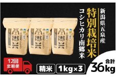 【令和7年産新米】 〈12回定期便〉 特別栽培米コシヒカリ100％ 「南郷米」 精米 3kg（1kg×3袋）新潟県 五泉市 有限会社ファームみなみの郷