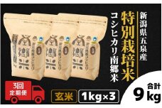 【令和7年産新米】 〈3回定期便〉 特別栽培米コシヒカリ 「南郷米」 玄米3kg（1kg×3袋）新潟県 五泉市 有限会社ファームみなみの郷