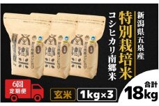 【令和7年産新米】 〈6回定期便〉 特別栽培米コシヒカリ 「南郷米」 玄米3kg（1kg×3袋）新潟県 五泉市 有限会社ファームみなみの郷