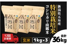 【令和7年産新米】 〈12回定期便〉 特別栽培米コシヒカリ 「南郷米」 玄米3kg（1kg×3袋）新潟県 五泉市 有限会社ファームみなみの郷