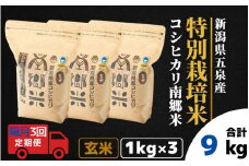 【令和7年産新米】 〈隔月3回定期便〉 特別栽培米コシヒカリ 「南郷米」 玄米3kg（1kg×3袋） 新潟県 五泉市 有限会社ファームみなみの郷