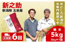 【令和7年産新米】〈6回定期便〉「わくわく農場」の五泉産 精米 新之助 5kg (5kg×1袋) 新潟県 五泉市 わくわく農場 ［2024年10月下旬以降順次発送］