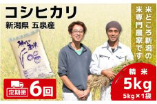 【令和7年産新米】〈6回定期便〉「わくわく農場」の五泉産 精米 コシヒカリ 5kg(5kg×1袋) 新潟県 五泉市 わくわく農場 ［2024年10月中旬以降順次発送］