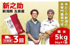 【令和7年産新米】 〈3回定期便〉 「わくわく農場」の五泉産 精米 新之助 5kg (5kg×1袋) 新潟県 五泉市 わくわく農場 ［2024年10月下旬以降順次発送］