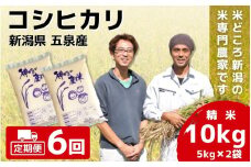 【令和7年産新米】 〈6回定期便〉 「わくわく農場」の五泉産 精米 コシヒカリ 10kg(5kg×2袋) 新潟県 五泉市 わくわく農場 ［2024年10月中旬以降順次発送］