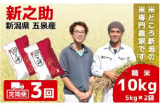 【令和7年産新米】 〈3回定期便〉 「わくわく農場」の五泉産 精米 新之助 10kg (5kg×2袋) 新潟県 五泉市 わくわく農場 ［2024年10月下旬以降順次発送］