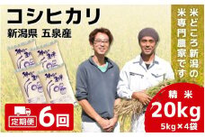 【令和7年産新米】 〈6回定期便〉 「わくわく農場」の五泉産 精米 コシヒカリ 20kg(5kg×4) 新潟県 五泉市 わくわく農場 ［2024年10月中旬以降順次発送］