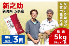 【令和7年産新米】 〈隔月3回定期便〉 「わくわく農場」の五泉産 精米 新之助 5kg(5kg×1袋) 新潟県 五泉市 わくわく農場 ［2024年10月下旬以降順次発送］