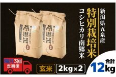 【令和7年産新米】 〈隔月3回定期便〉 特別栽培米コシヒカリ 「南郷米」 玄米4kg（2kg×2袋） 新潟県 五泉市 有限会社ファームみなみの郷
