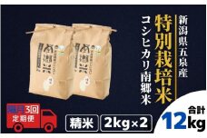 【令和7年産新米】 〈隔月3回定期便〉 特別栽培米コシヒカリ100％ 「南郷米」 精米 4kg（2kg×2袋） 新潟県 五泉市 有限会社ファームみなみの郷
