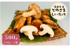 肉厚ジューシー！とのさましいたけ (生しいたけ) 500g 新潟県 五泉市 福田農産株式会社五泉工場