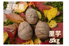  五泉産 里芋 5kg  ※M～Lサイズ混合 新潟県 五泉市 株式会社蛇場農産