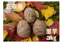  五泉産 里芋 3kg  ※M～Lサイズ混合 新潟県 五泉市 株式会社蛇場農産