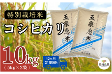 【令和7年産新米】〈12回定期便〉渡辺農園の特別栽培米コシヒカリ 10kg(5kg×2袋) 新潟県 五泉市 渡辺農園 [10月中旬以降順次発送]