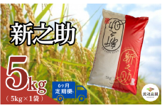 【令和7年産新米】〈6回定期便〉渡辺農園の新之助5kg (5kg×1袋) 新潟県 五泉市 渡辺農園 [10月中旬以降順次発送]