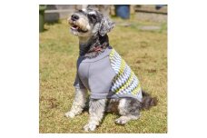 Wants ニットドックウェア フライスチェック GREY Sサイズ 新潟県 五泉市 ウメダニット