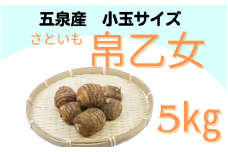 家庭用 小玉サイズ さといも「帛乙女（きぬおとめ）」 5kg(M・Lのいずれか)　※サイズ指定不可 五泉ブランド野菜 里芋 サトイモ  新潟県 五泉市 五泉市園芸組織連絡協議会