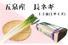 ごせんのネギ Lサイズ 15束 野菜 ネギ 長ネギ 葱  新潟県 五泉市 五泉市園芸組織連絡協議会