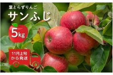 【11月上旬から発送】葉とらずりんご ふじ 約5㎏（14~16玉程度）新潟県五泉市産 佐藤りんご園