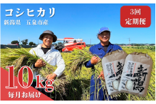 【3回定期便】【令和7年産新米】 なごみ農園のコシヒカリ 10kg (5kg×2袋) 新潟県 五泉市 なごみ農園