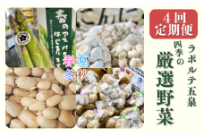 【4回定期便】ラポルテ五泉四季の厳選野菜 [次の季節からお届け] [季節ごとに4～5品種お届け]新潟県 五泉市 まるっと五泉プロジェクトFunSpace株式会社