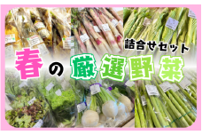 【令和7年の先行予約】ラポルテ五泉春の厳選野菜詰合せ [2025年3月以降順次発送]  [4～5品種お届け] 新潟県 五泉市 まるっと五泉プロジェクトFunSpace株式会社