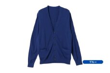 Vネックカーディガン ( ブルー L ) ウール 100% メンズ | ニット Vネック カーディガン 薄手 無地 おしゃれ シンプル 長袖 秋冬 冬 新潟県 五泉市 株式会社川島