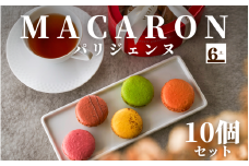 マカロンパリジェンヌ 10個入り 新潟県 五泉市 渡六菓子店
