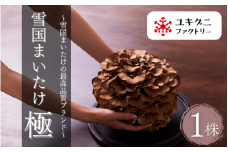 まいたけ 雪国まいたけ 極 1株 ( 約900g ) 化粧箱入 最高品質ブランド 圧倒的なシャキシャキ感と旨味 | 舞茸 マイタケ 茸 きのこ キノコ 国産 産地直送 新潟県 五泉市 ユキグニファクトリー株式会社