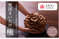 〈定期便〉 雪国まいたけ 極 1株×3回【1株約900g 3ヵ月に1回発送/全3回】これが雪国史上、最高傑作 長期熟成と大株仕立てが生み出す圧倒的なシャキシャキ感と旨味 雪国まいたけ最高品質 産地直送 新潟県 五泉市 ユキグニファクトリー株式会社