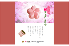 桜まるごと最中 8個入り 新潟県 五泉市 一般社団法人 五泉市観光協会