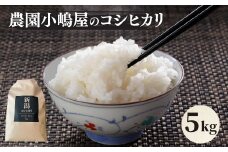 【先行予約】令和7年産新米　 農園小嶋屋の五泉産コシヒカリ 5kg [2025年10月下旬以降順次発送]