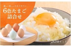 キムラファームの産みたて卵 6色たまご詰合せ 30個 産みたてたまご たまご 卵 玉子 タマゴ 鶏卵 オムレツ 卵かけご飯 たまご焼き 新潟県 五泉市　先行予約（2025年9月以降順次発送）