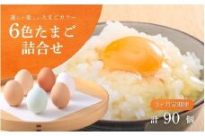 【3回定期便】キムラファームの産みたて卵 6色たまご詰合せ 30個 産みたてたまご たまご 卵 玉子 タマゴ 鶏卵 オムレツ 卵かけご飯 たまご焼き 新潟県 五泉市　先行予約（2025年9月以降順次発送）